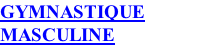 GYMNASTIQUE MASCULINE