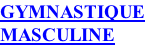GYMNASTIQUE MASCULINE
